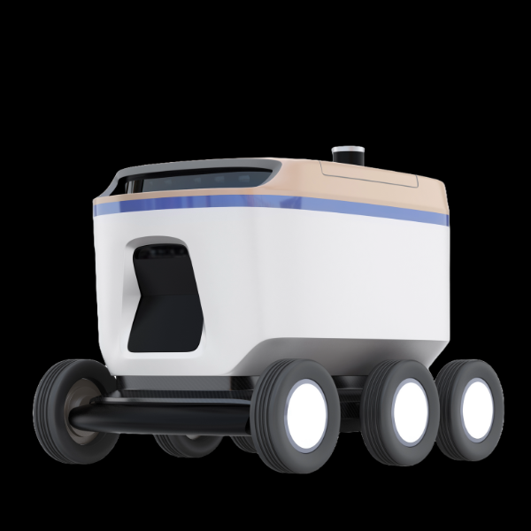 autonomous robot for delivery